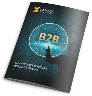 vaimo-b2b-ebook-preview