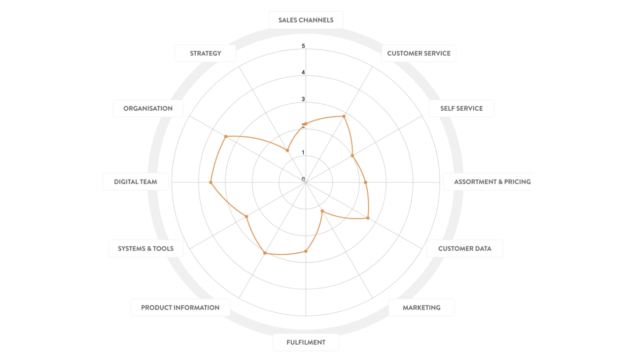 Digital Maturity Assessment-1